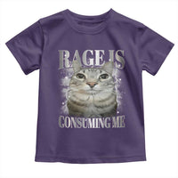 Rage Is Consuming Me Toddler T Shirt Funny Silly Cat Memes - Wonder Print Shop