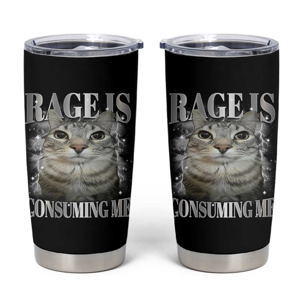 Rage Is Consuming Me Tumbler Cup Funny Silly Cat Memes - Wonder Print Shop