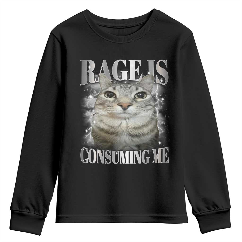 Rage Is Consuming Me Youth Sweatshirt Funny Silly Cat Memes - Wonder Print Shop