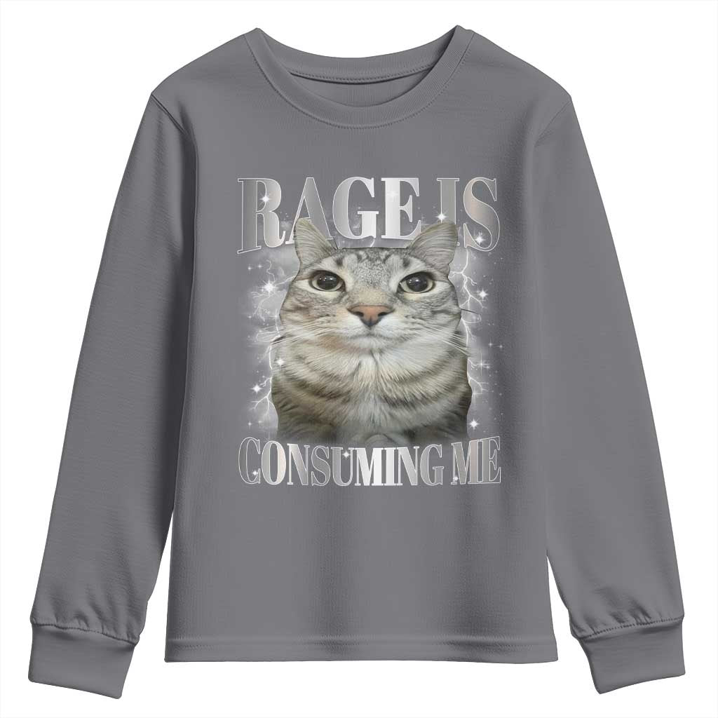 Rage Is Consuming Me Youth Sweatshirt Funny Silly Cat Memes - Wonder Print Shop