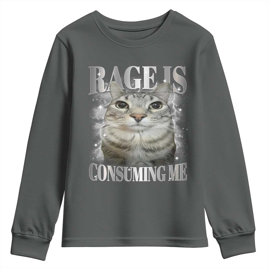 Rage Is Consuming Me Youth Sweatshirt Funny Silly Cat Memes - Wonder Print Shop