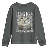 Rage Is Consuming Me Youth Sweatshirt Funny Silly Cat Memes - Wonder Print Shop