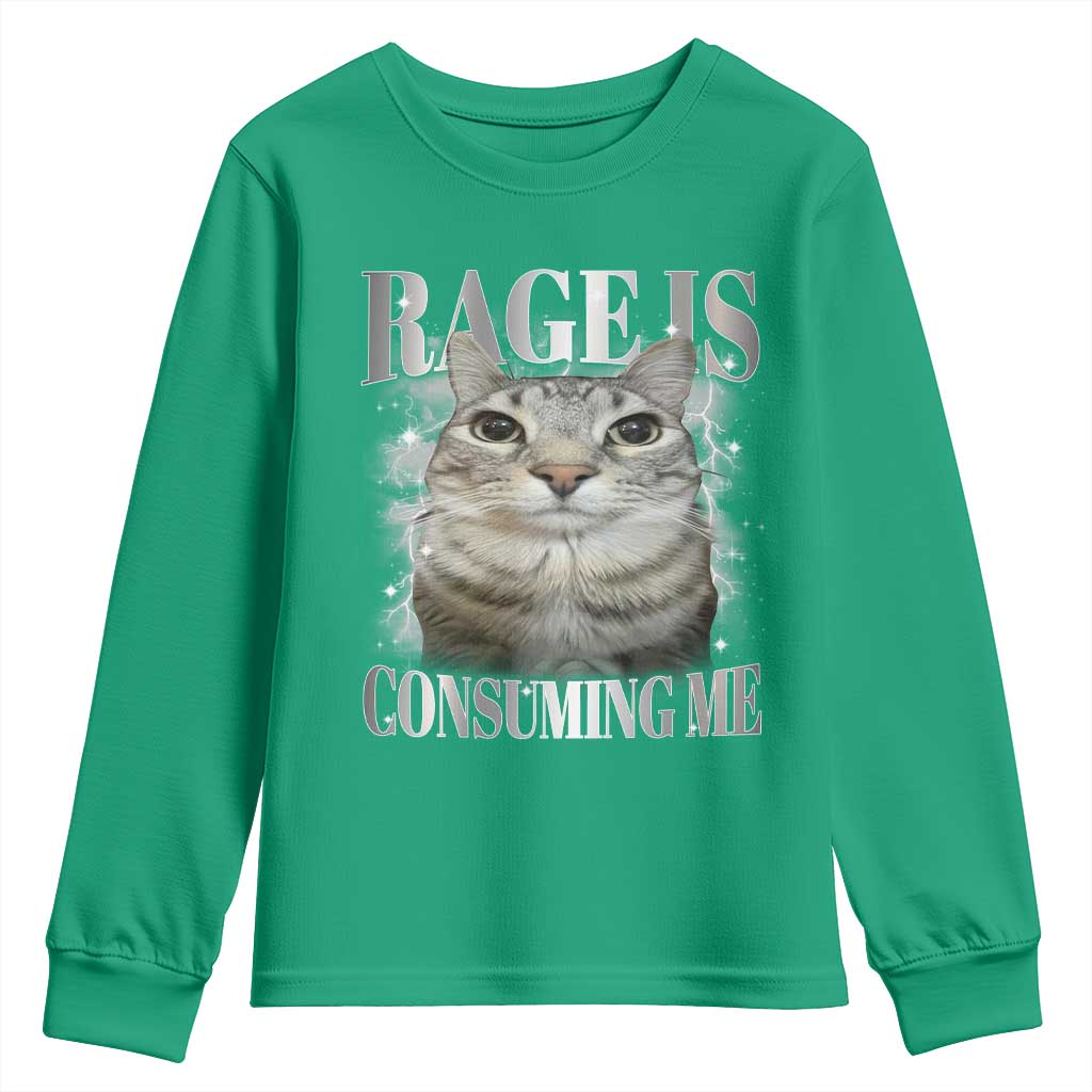 Rage Is Consuming Me Youth Sweatshirt Funny Silly Cat Memes - Wonder Print Shop