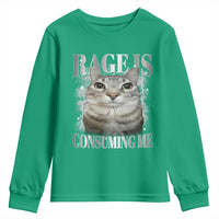Rage Is Consuming Me Youth Sweatshirt Funny Silly Cat Memes - Wonder Print Shop