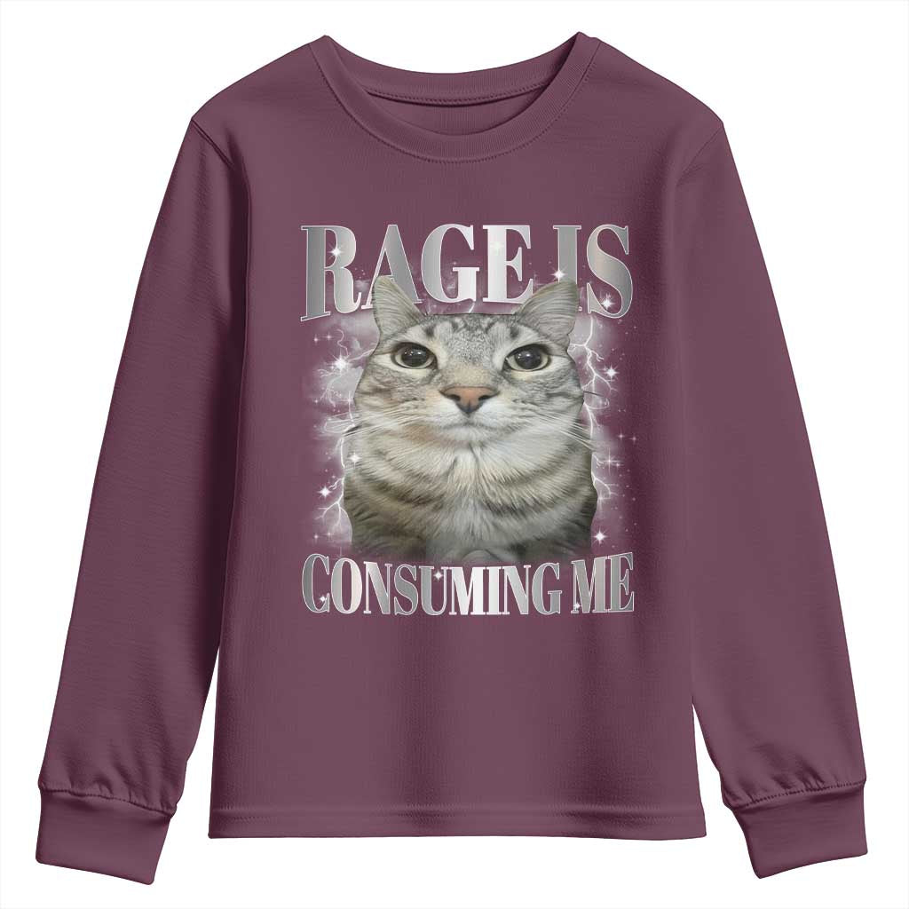 Rage Is Consuming Me Youth Sweatshirt Funny Silly Cat Memes - Wonder Print Shop