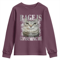 Rage Is Consuming Me Youth Sweatshirt Funny Silly Cat Memes - Wonder Print Shop