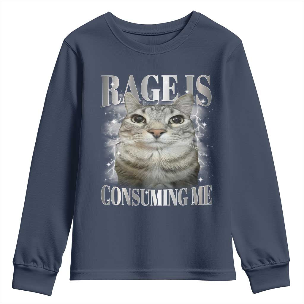 Rage Is Consuming Me Youth Sweatshirt Funny Silly Cat Memes - Wonder Print Shop