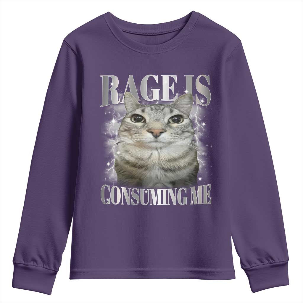Rage Is Consuming Me Youth Sweatshirt Funny Silly Cat Memes - Wonder Print Shop