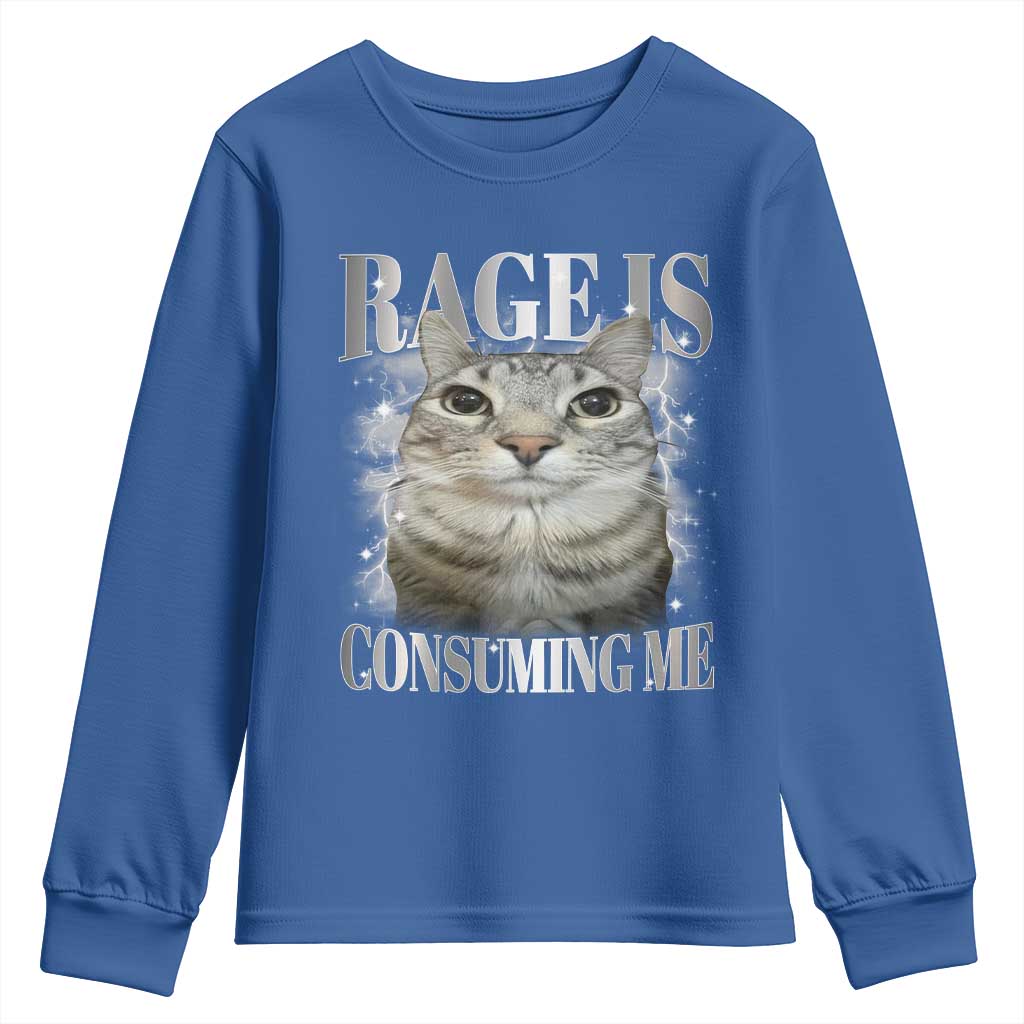 Rage Is Consuming Me Youth Sweatshirt Funny Silly Cat Memes - Wonder Print Shop