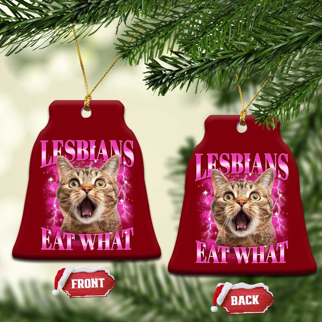 Lesbians Eat What Ceramic Ornament Funny Cat Gay Pride LGBTQ Pun - Wonder Print Shop