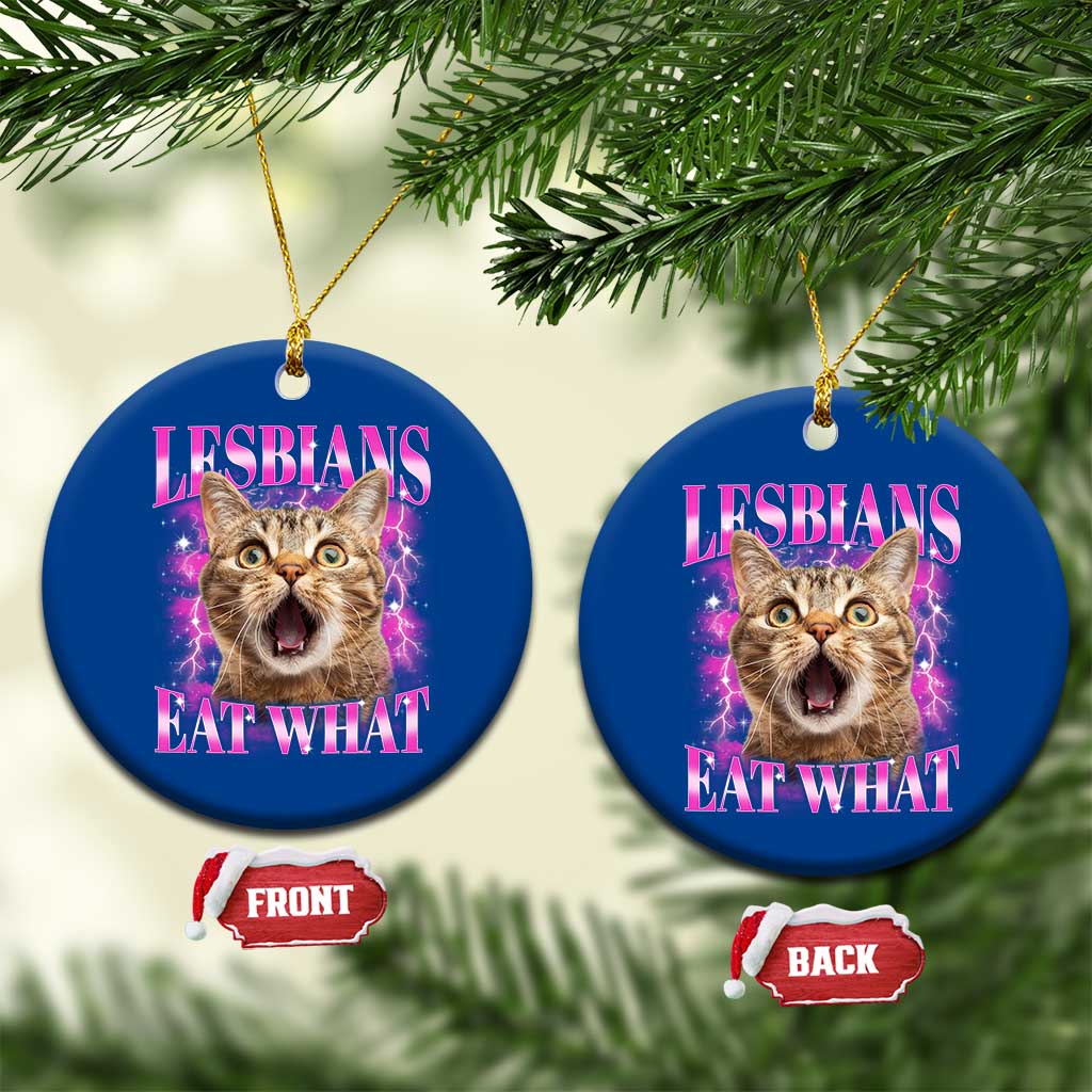 Lesbians Eat What Ceramic Ornament Funny Cat Gay Pride LGBTQ Pun - Wonder Print Shop