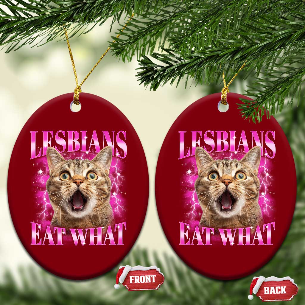 Lesbians Eat What Ceramic Ornament Funny Cat Gay Pride LGBTQ Pun - Wonder Print Shop