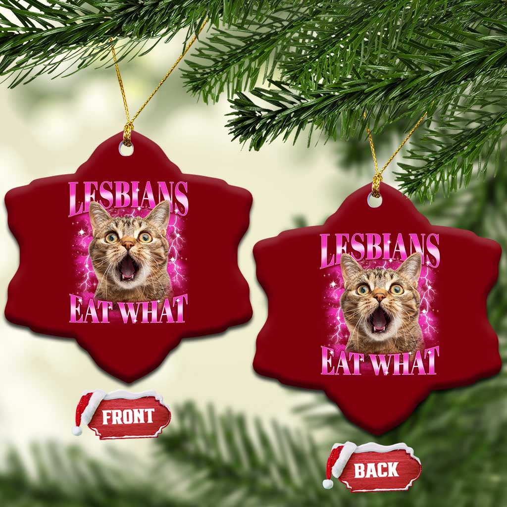 Lesbians Eat What Ceramic Ornament Funny Cat Gay Pride LGBTQ Pun - Wonder Print Shop