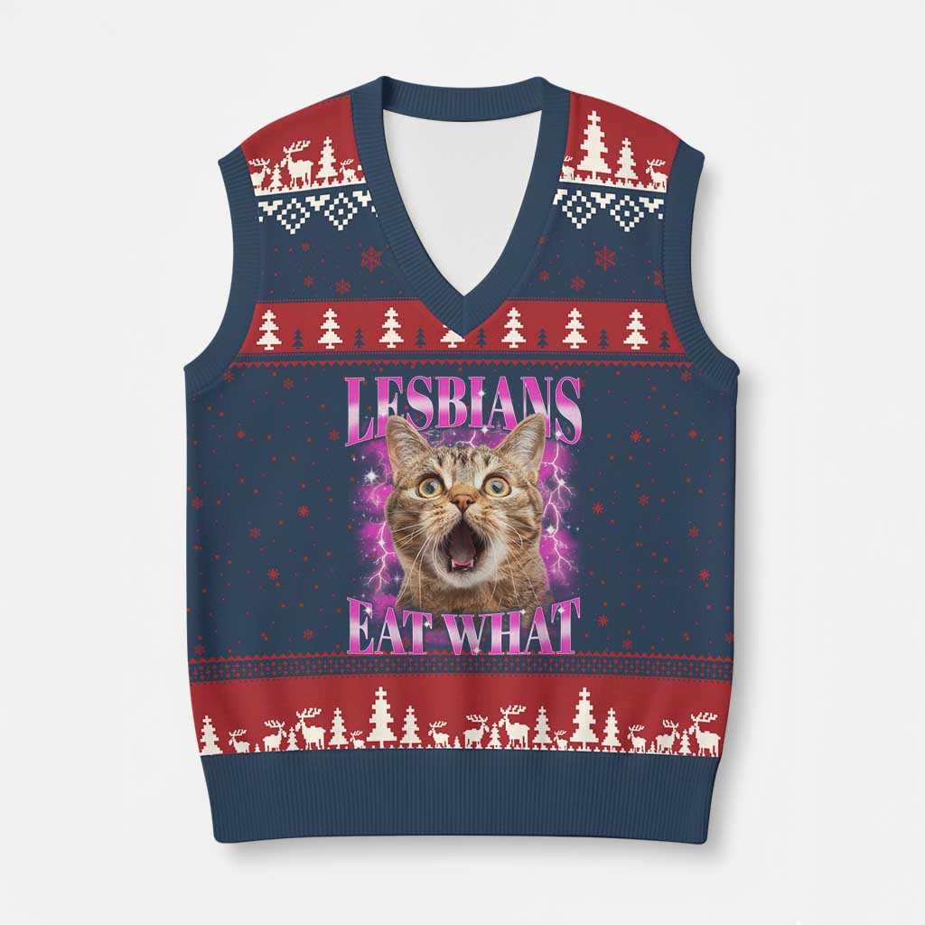 Lesbians Eat What V-Neck Knit Sweater Vest Funny Cat Gay Pride LGBTQ Pun - Wonder Print Shop