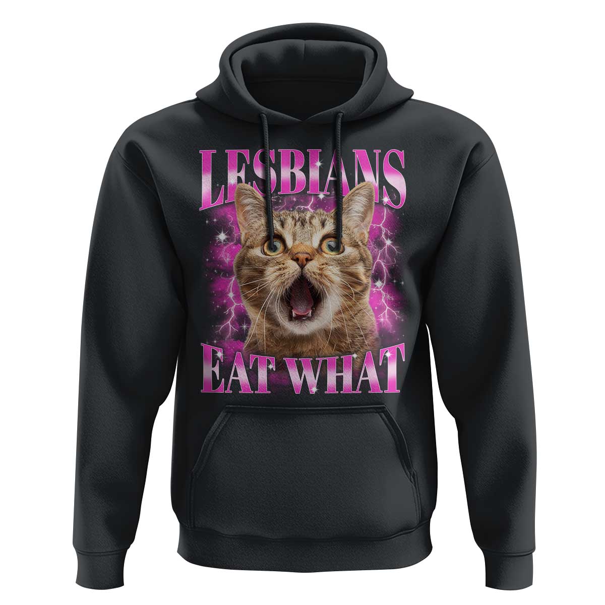 Lesbians Eat What Hoodie Funny Cat Gay Pride LGBTQ Pun