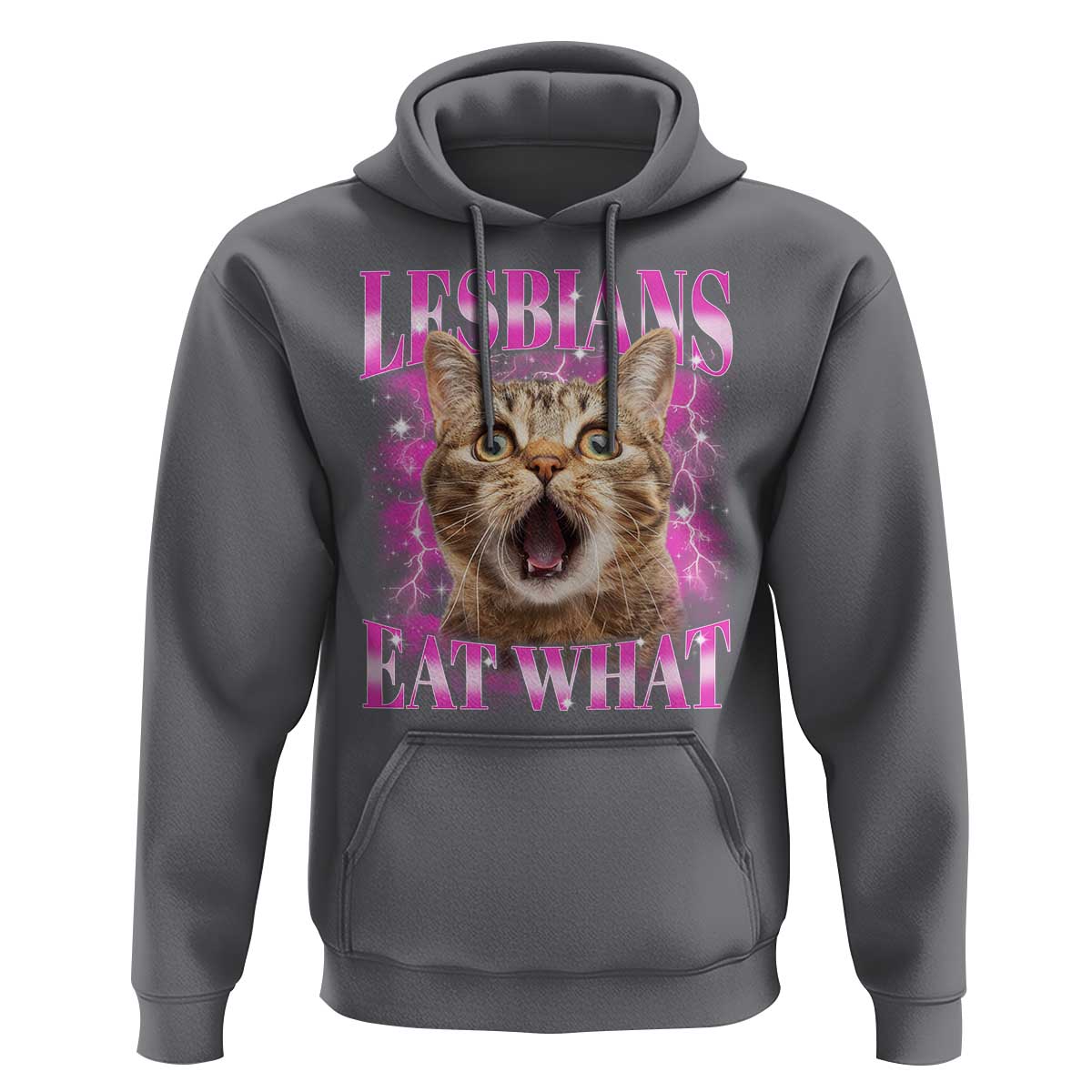 Lesbians Eat What Hoodie Funny Cat Gay Pride LGBTQ Pun