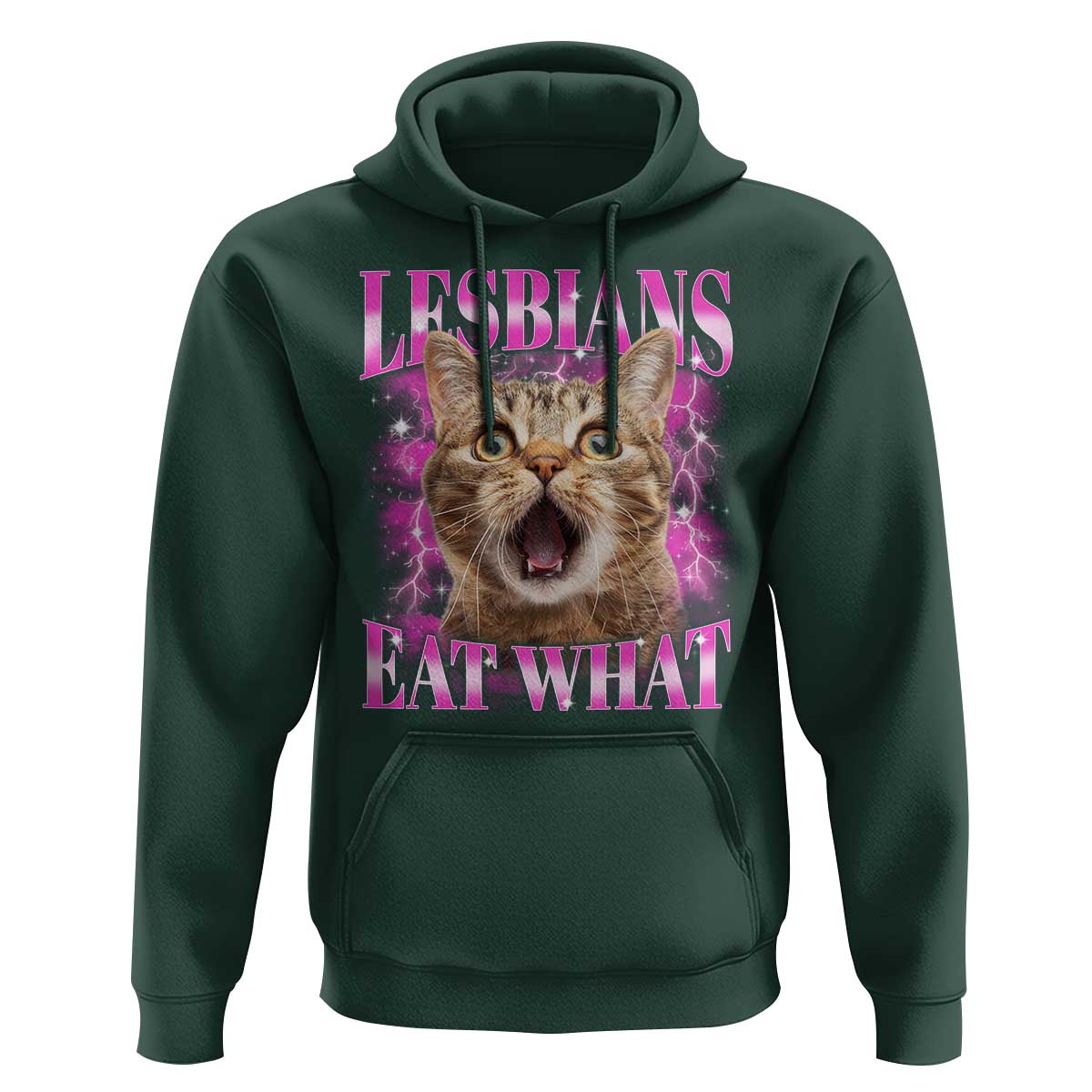 Lesbians Eat What Hoodie Funny Cat Gay Pride LGBTQ Pun