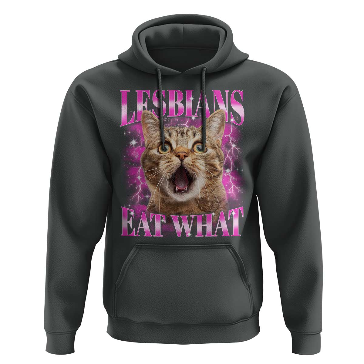Lesbians Eat What Hoodie Funny Cat Gay Pride LGBTQ Pun