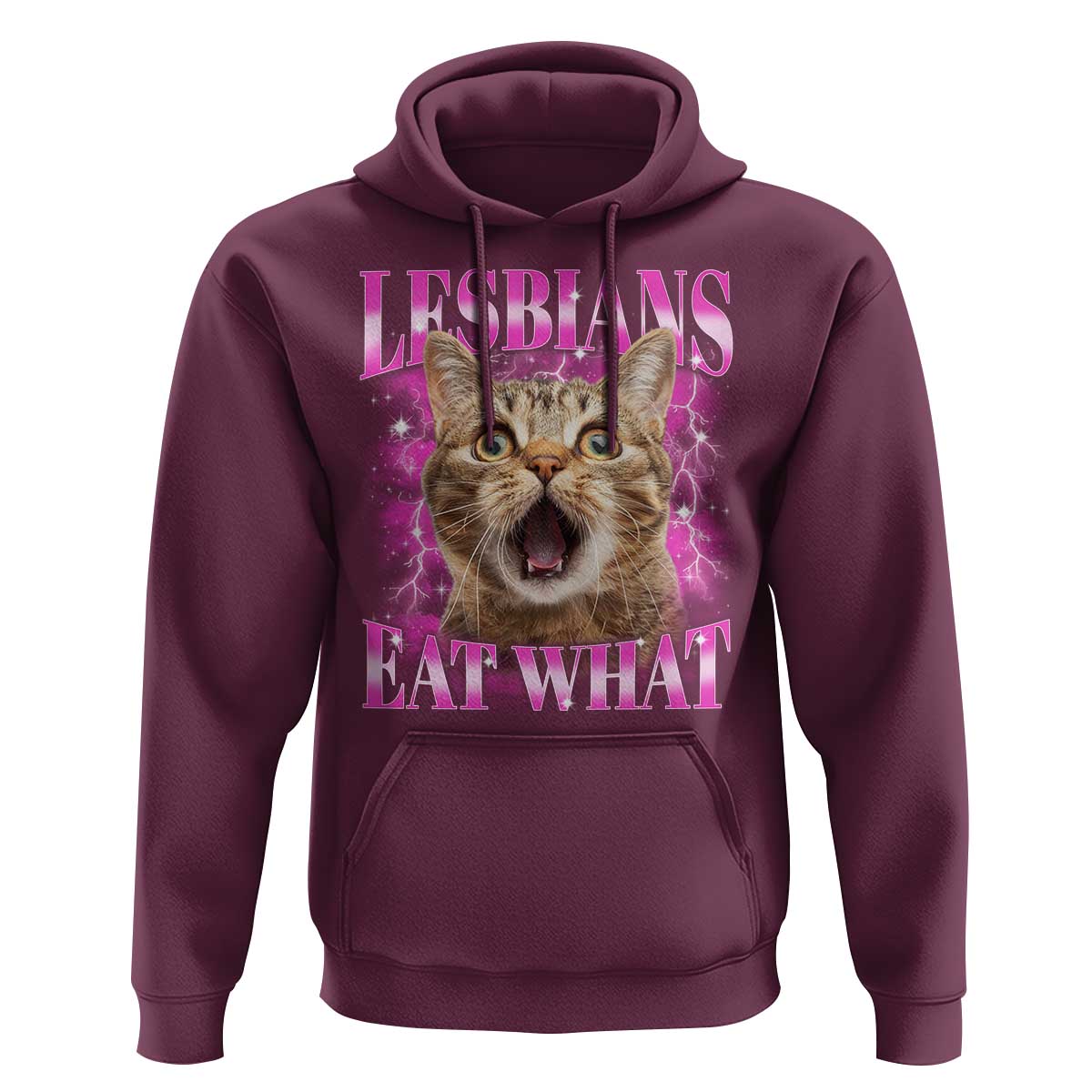 Lesbians Eat What Hoodie Funny Cat Gay Pride LGBTQ Pun