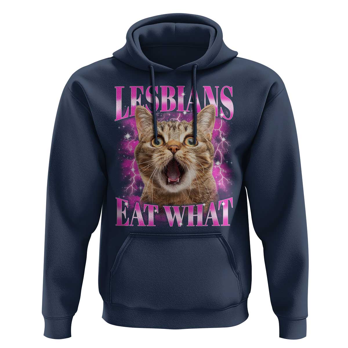Lesbians Eat What Hoodie Funny Cat Gay Pride LGBTQ Pun