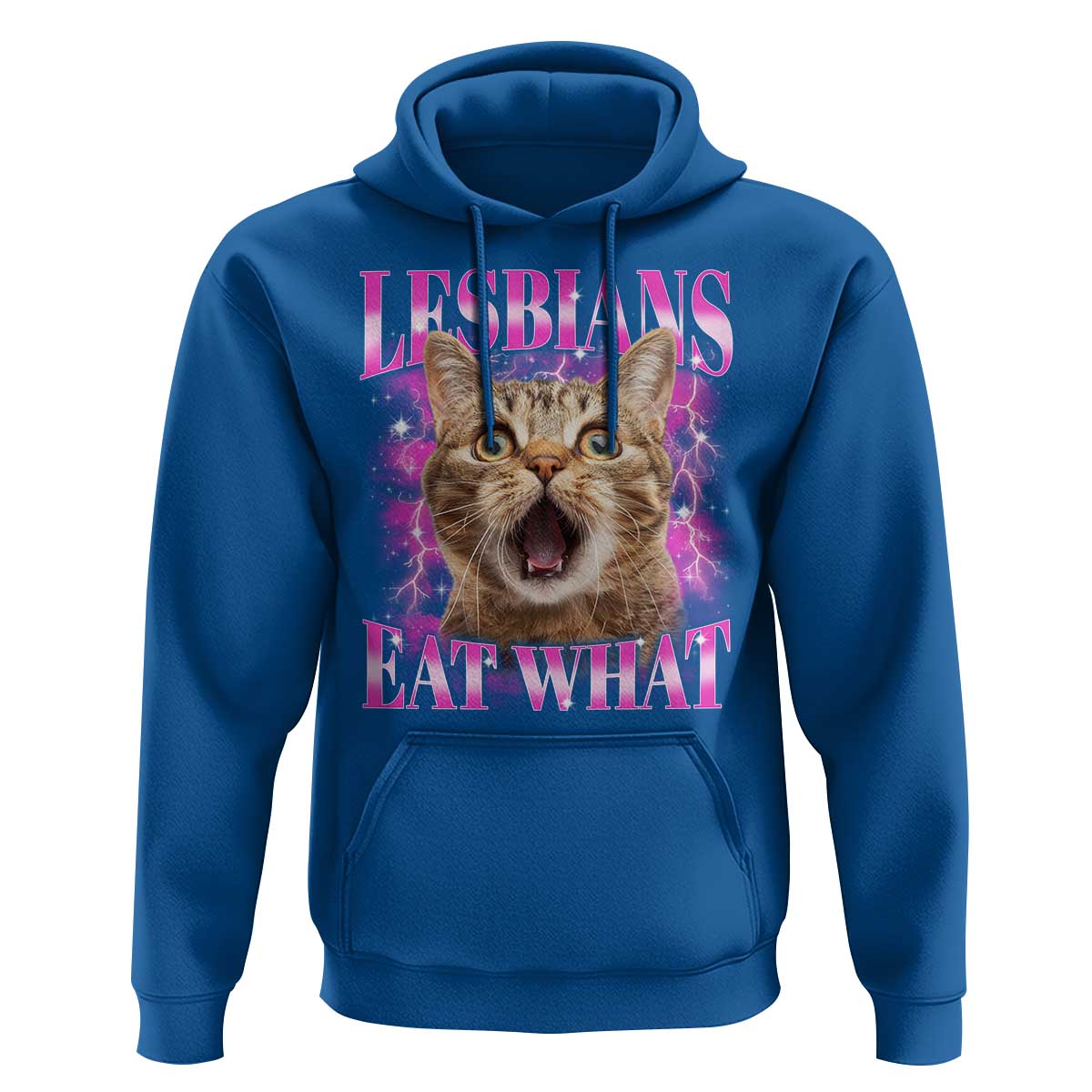 Lesbians Eat What Hoodie Funny Cat Gay Pride LGBTQ Pun