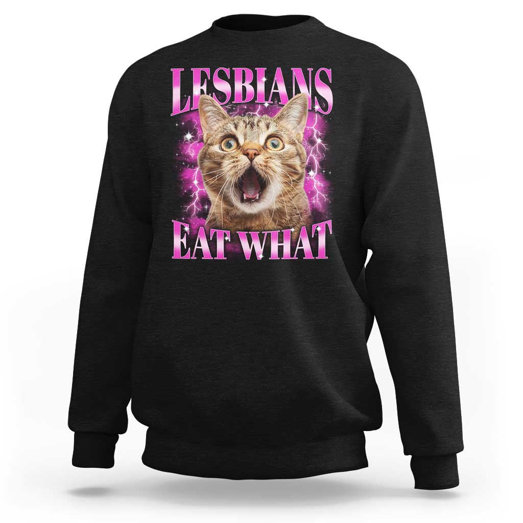 Lesbians Eat What Sweatshirt Funny Cat Gay Pride LGBTQ Pun