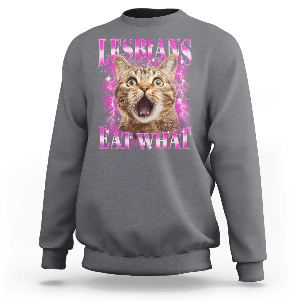 Lesbians Eat What Sweatshirt Funny Cat Gay Pride LGBTQ Pun