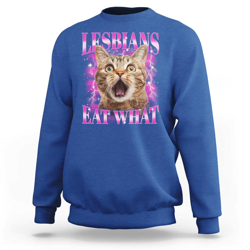Lesbians Eat What Sweatshirt Funny Cat Gay Pride LGBTQ Pun
