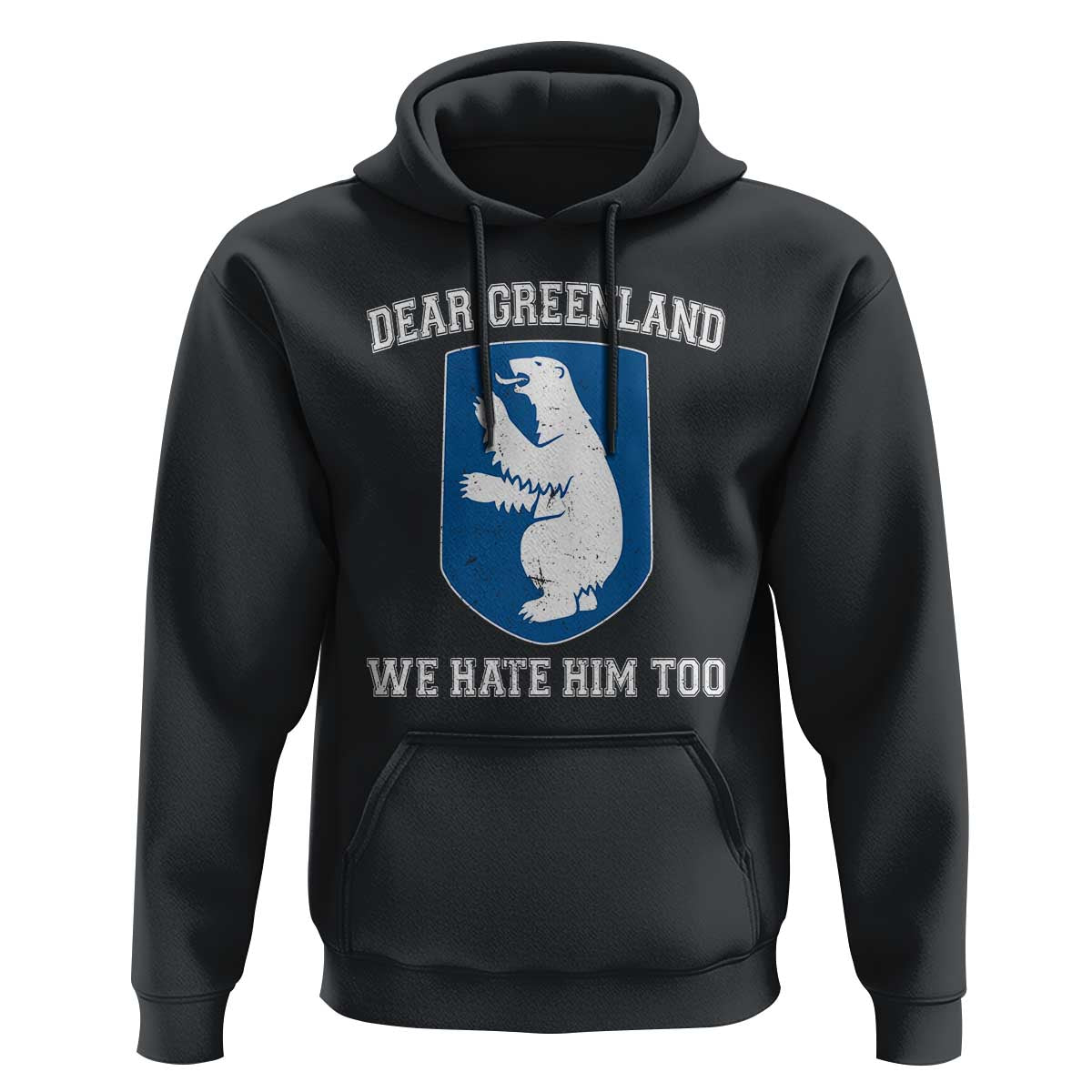 Dear Greenland We Hate Him Too Hoodie Political Protest