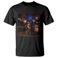 USA 250th Anniversary Cat T Shirt Funny 4th Of July Independence Day 250 Years 1776 2026 Patriotic Celebration Meme