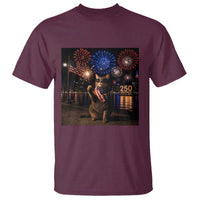 USA 250th Anniversary Cat T Shirt Funny 4th Of July Independence Day 250 Years 1776 2026 Patriotic Celebration Meme