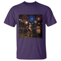 USA 250th Anniversary Cat T Shirt Funny 4th Of July Independence Day 250 Years 1776 2026 Patriotic Celebration Meme