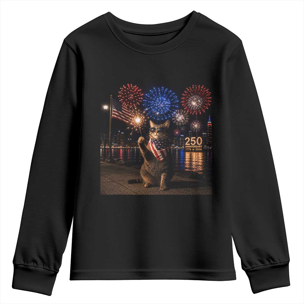 USA 250th Anniversary Cat Youth Sweatshirt Funny 4th Of July Independence Day 250 Years 1776 2026 Patriotic Celebration Meme