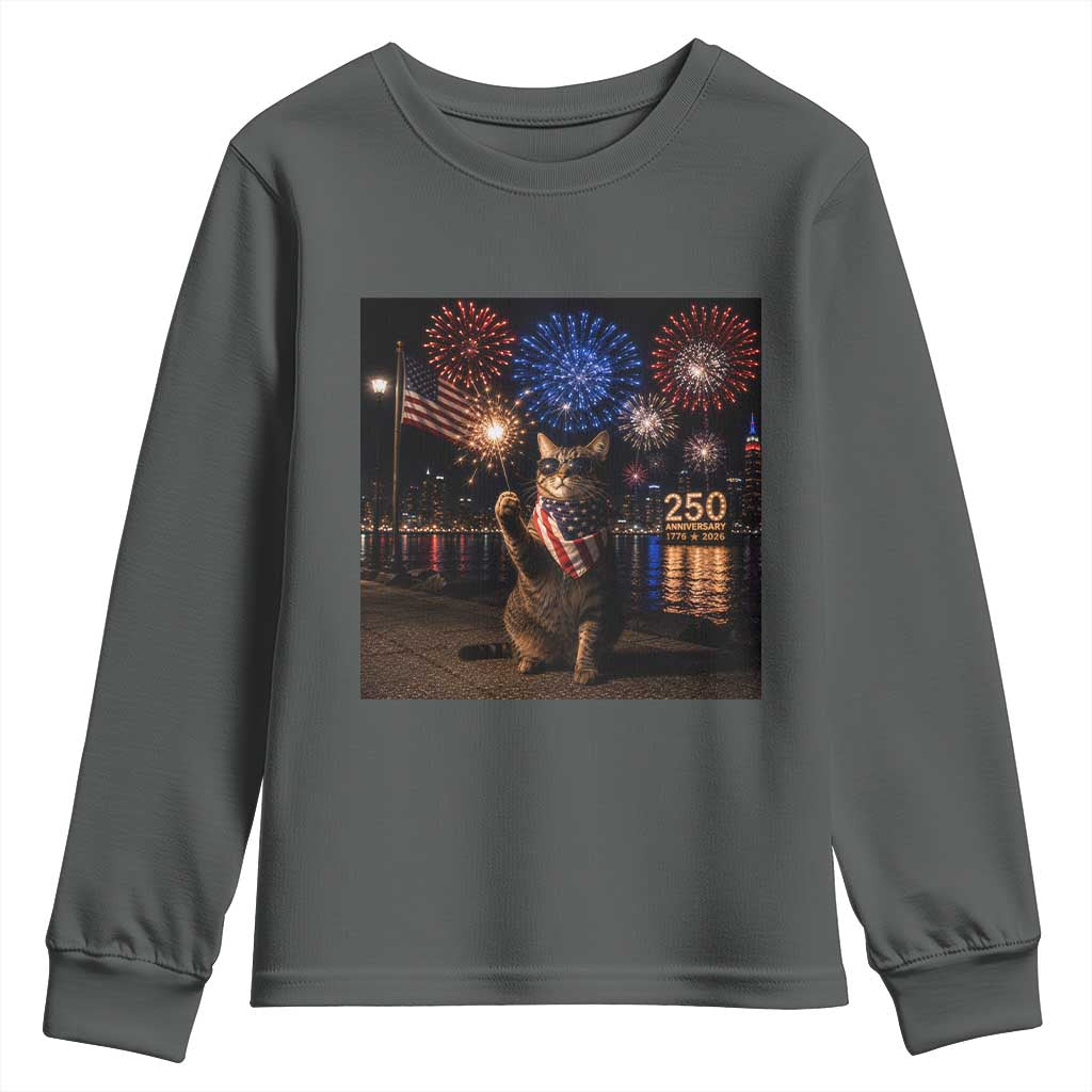 USA 250th Anniversary Cat Youth Sweatshirt Funny 4th Of July Independence Day 250 Years 1776 2026 Patriotic Celebration Meme