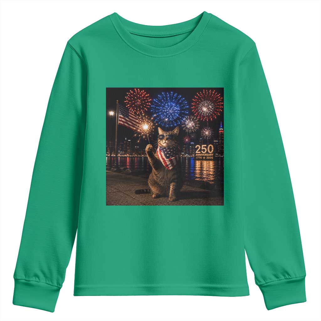 USA 250th Anniversary Cat Youth Sweatshirt Funny 4th Of July Independence Day 250 Years 1776 2026 Patriotic Celebration Meme
