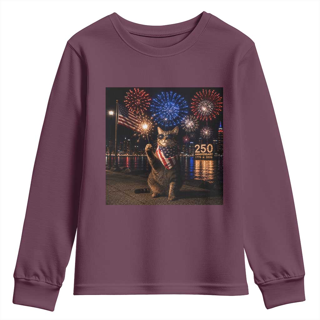 USA 250th Anniversary Cat Youth Sweatshirt Funny 4th Of July Independence Day 250 Years 1776 2026 Patriotic Celebration Meme