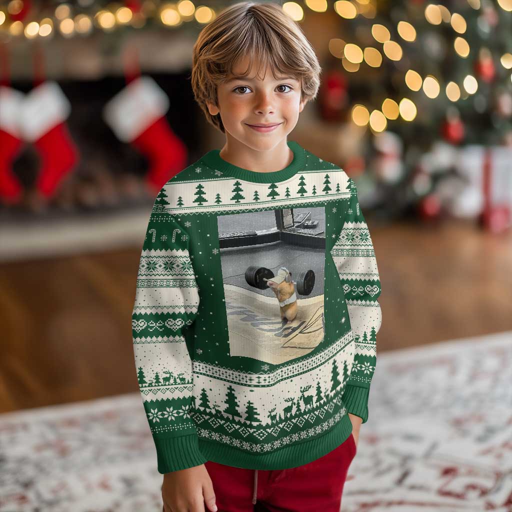 Hamster Gym Ugly Christmas Sweater Funny Rat Workout Weightlifting Pump Cover