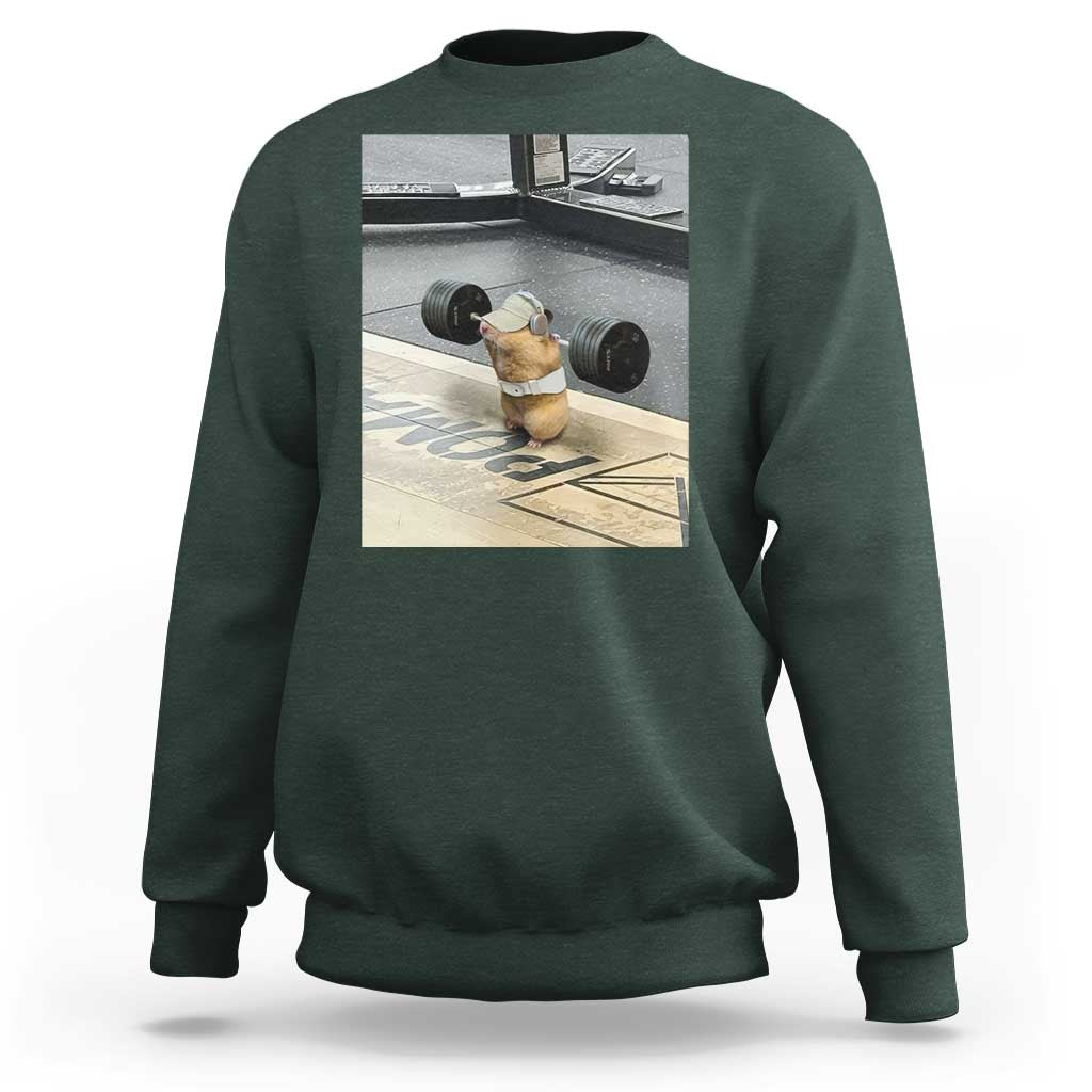 Hamster Gym Sweatshirt Funny Rat Workout Weightlifting Pump Cover