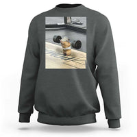 Hamster Gym Sweatshirt Funny Rat Workout Weightlifting Pump Cover