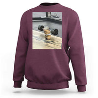 Hamster Gym Sweatshirt Funny Rat Workout Weightlifting Pump Cover