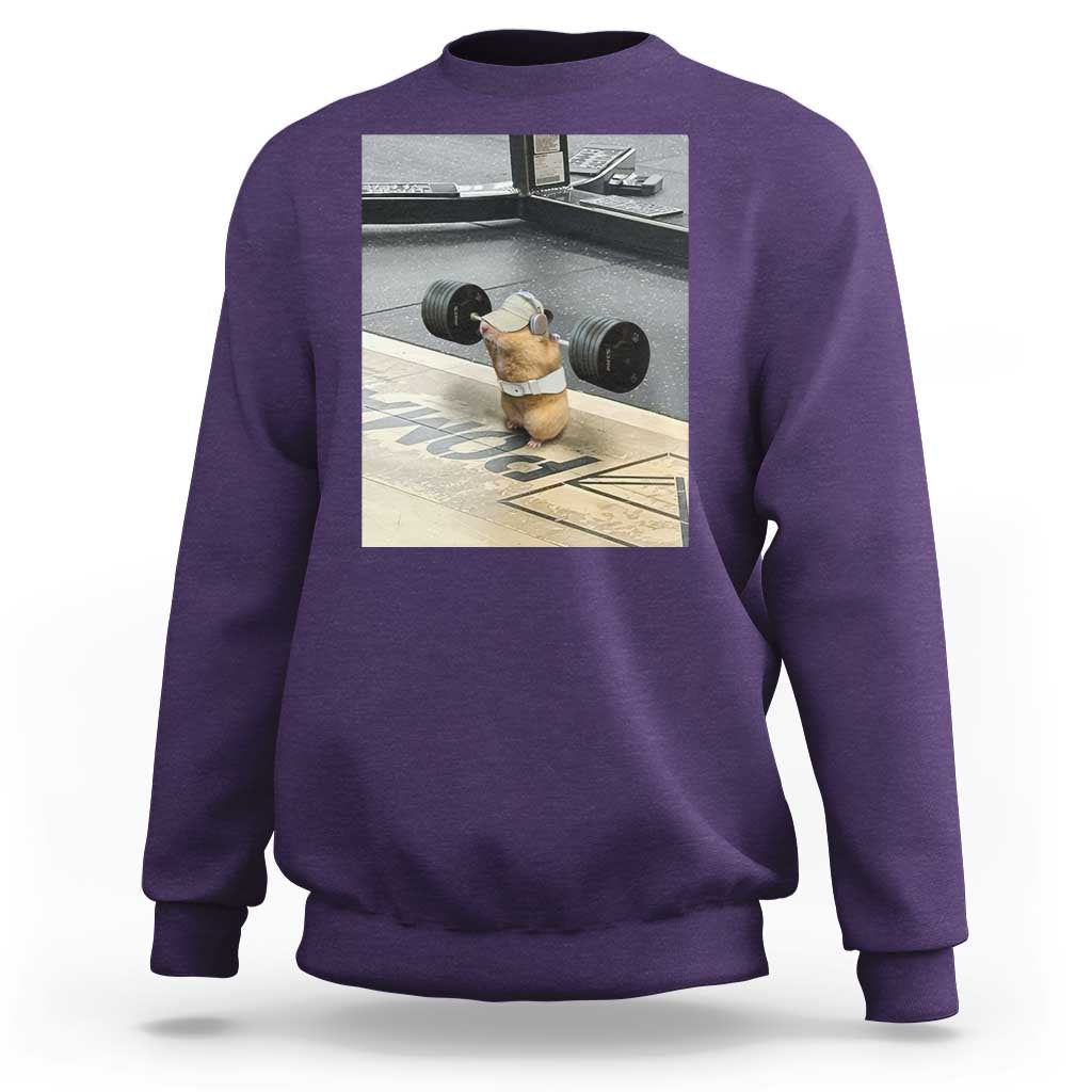 Hamster Gym Sweatshirt Funny Rat Workout Weightlifting Pump Cover