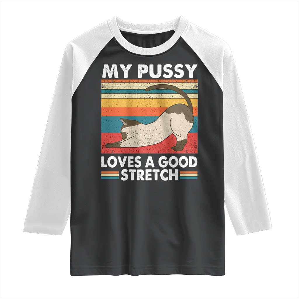 My Pussy Loves A Good Stretch Raglan Shirt Funny Humor Saying Cat Vintage - Wonder Print Shop