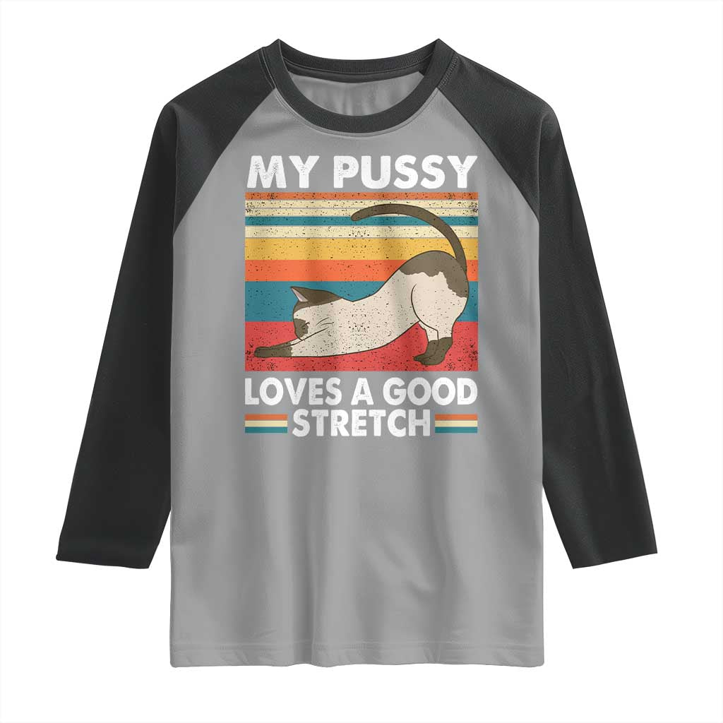 My Pussy Loves A Good Stretch Raglan Shirt Funny Humor Saying Cat Vintage - Wonder Print Shop