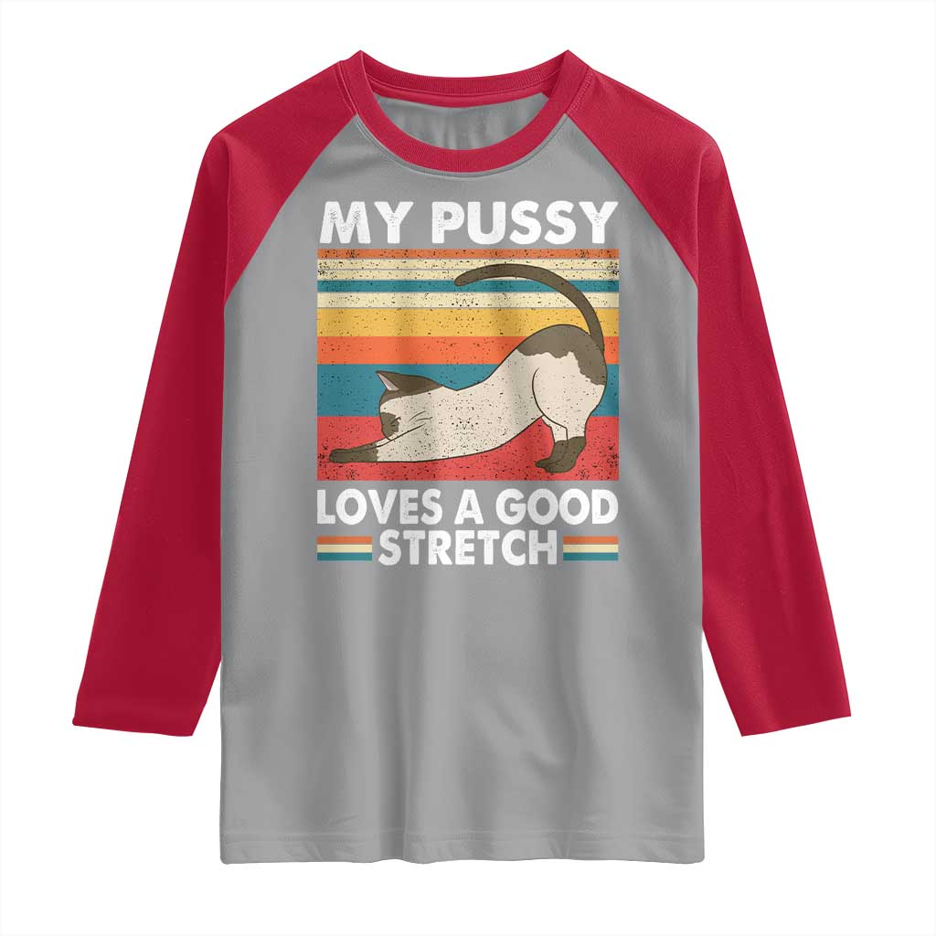 My Pussy Loves A Good Stretch Raglan Shirt Funny Humor Saying Cat Vintage - Wonder Print Shop