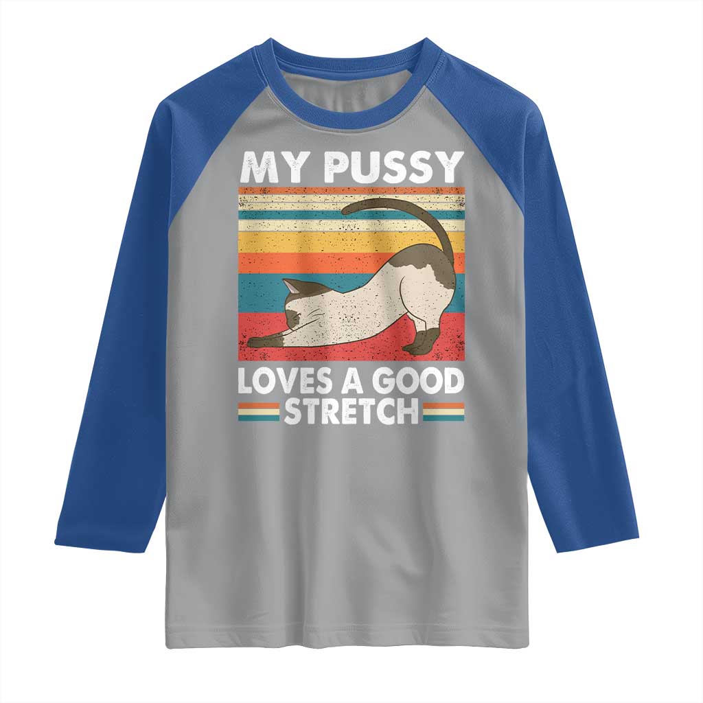 My Pussy Loves A Good Stretch Raglan Shirt Funny Humor Saying Cat Vintage - Wonder Print Shop