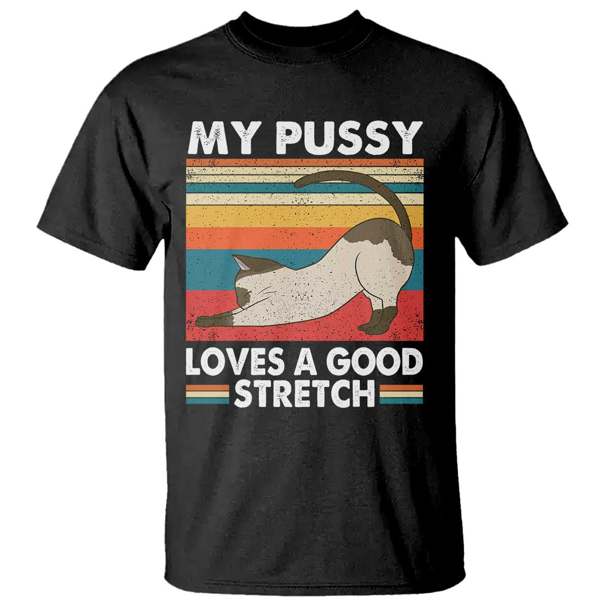 My Pussy Loves A Good Stretch T Shirt Funny Humor Saying Cat Vintage - Wonder Print Shop