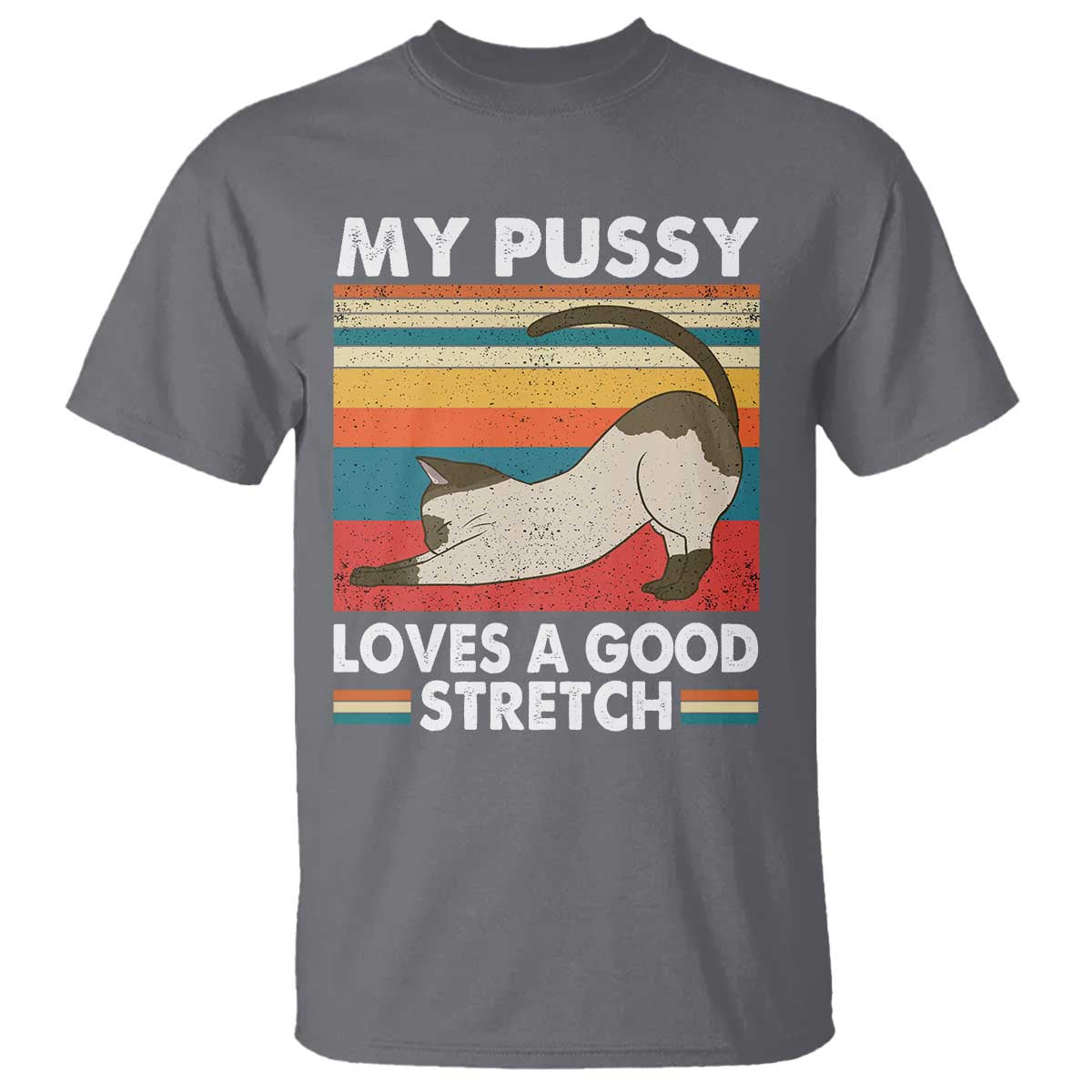 My Pussy Loves A Good Stretch T Shirt Funny Humor Saying Cat Vintage - Wonder Print Shop