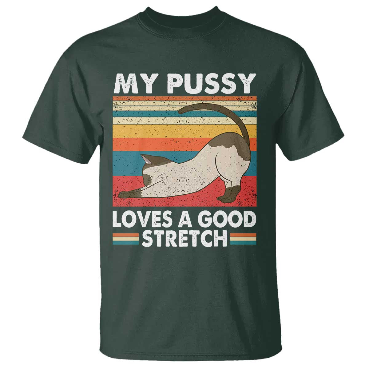 My Pussy Loves A Good Stretch T Shirt Funny Humor Saying Cat Vintage - Wonder Print Shop