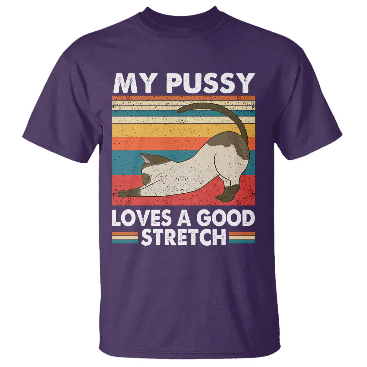 My Pussy Loves A Good Stretch T Shirt Funny Humor Saying Cat Vintage - Wonder Print Shop