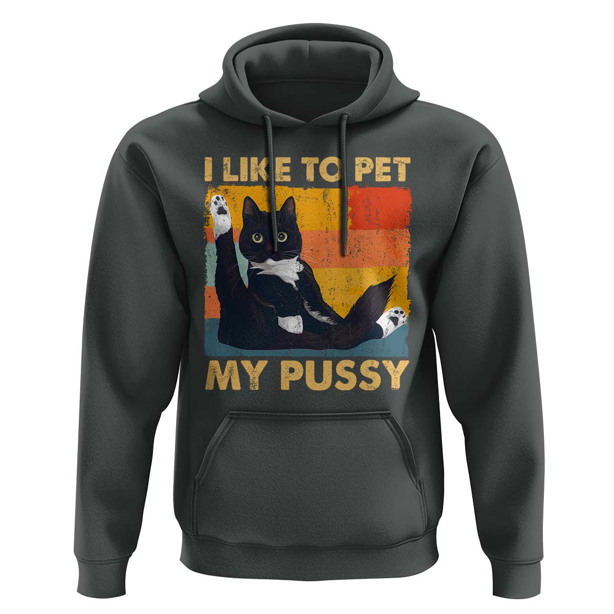 Funny Humor Saying Cat Hoodie I Like To Pet My Pussy Naughty Vintage - Wonder Print Shop